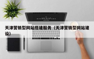 茌平天津营销型网站搭建服务（天津营销型网站建设）