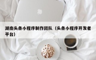 茌平湖南头条小程序制作团队（头条小程序开发者平台）