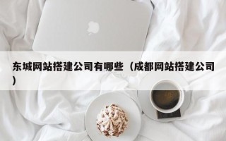 茌平东城网站搭建公司有哪些（成都网站搭建公司）
